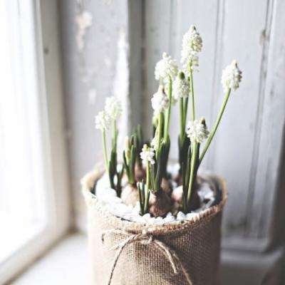 金沙乐娱场·官方网站