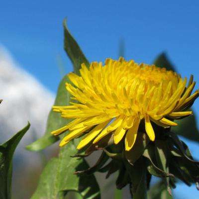 万博手机版max网页版(中国)官方网站下载手机版